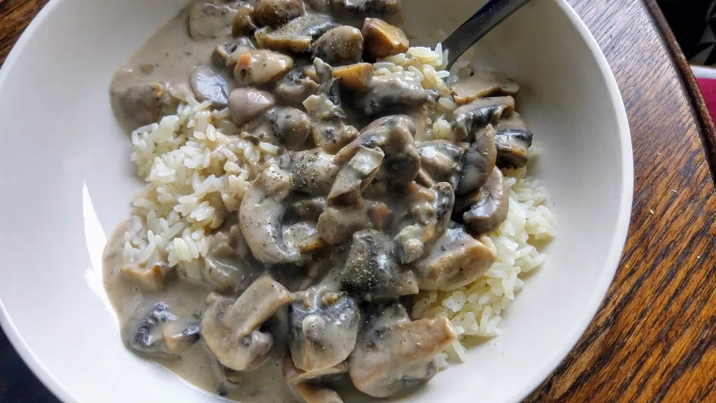 Photograph of Mushroom stroganoff.