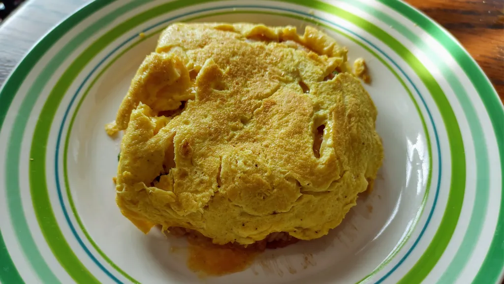 Photograph of Omurice (japanese rice omelet).